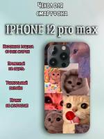 Чехол для телефона Iphone 12 pro max c принтом много милых котиков котов кошек