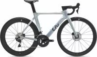 Giant Liv Enviliv Advanced Pro 2 Disc 2021 (требует финальной сборки), Цвет supernova, Размер S