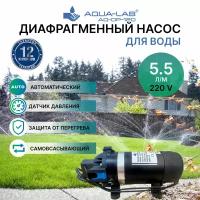 AQUA-LAB AQ-DP-120M Насос для сада и бассейна самовсасывающий (5.5 л/мин, 220 вольт)