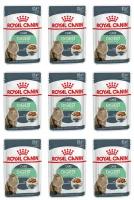 Royal Canin Пауч для кошек с чувствительным пищеварением Digestive care, кусочки в соусе, 85 г, 9 шт