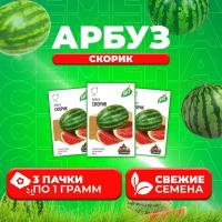 Арбуз Скорик, 1,0г, Удачные семена, серия ХИТ (3 уп)