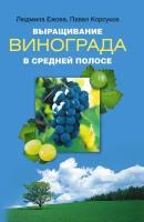 Выращивание винограда в средней полосе