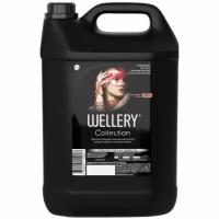 Кондиционер-ополаскиватель для белья Wellery Collection RED парфюмированный, 5 л