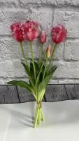 Букет махровых тюльпанов, 5шт, высота 40см, цвет темно-розовый