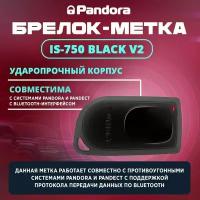 Брелок-Метка Pandect IS-750 black V2 (для3910)