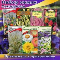 Семена сухоцветов набор: ( статица, лимониум суворова, сухоцветы злаковые, целозия, гелихризум