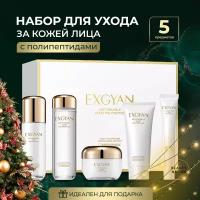 Exgyan Подарочный набор косметики уходовой для лица 5 в 1