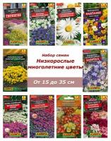 Набор семян, семена низкорослых многолетних цветов, аквилегия, астра, примула и др