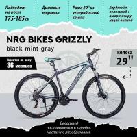 NRG BIKES GRIZZLY 29'' /20'' black-mint-gray