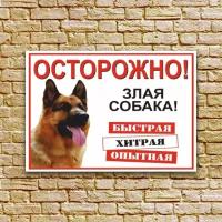 Информационная табличка из ПВХ "Во дворе злая, хитрая собака", 210х300 мм