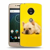 Дизайнерский силиконовый чехол для Моторола Мото Ж5с / Motorola Moto G5s Собака бульдог