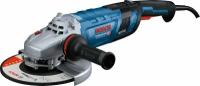 Угловая шлифмашина Bosch GWS 30-230 PB (06018G1100)