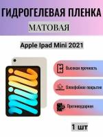 Матовая гидрогелевая защитная пленка на экран планшета Apple iPad mini 2021 / Гидрогелевая пленка для эпл айпад мини 2021