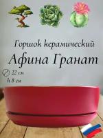 Керамический горшок "Афина Гранат" для бонсай, кактусов и суккулентов, диаметр 22 см, высота 8 см