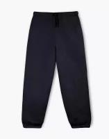 Спортивные брюки Gloria Jeans BAC012189 темно-синий мужской S/182 (44-46)