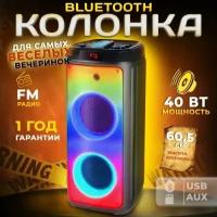 Колонка портативная TAKARA PARTY 8002 с подсветкой 40 Вт / Музыкальный центр TWS, AUX, USB, блютус