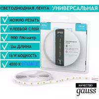 Лента светодиодная 5050/60 12V 8W/m 900lm/m 4000K 10mm IP20 2m Gauss Basic