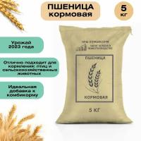 Пшеница кормовая 5 кг. Незаменимый продукт для сельскохозяйственных животных, подходит для кормления птицы, кроликов и КРС