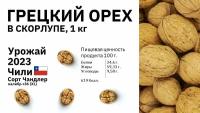 Грецкий орех в скорлупе Урожай 2023 Чили 1кг калибр 36+( XL )