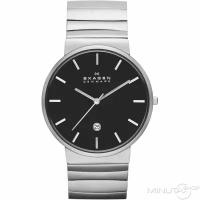 Наручные часы SKAGEN, серебряный, черный