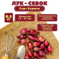 Лук севок Кармен МС 0,5 кг. Приятный вкус, слабо выраженная острота, длительные сроки хранения, устойчивость к стрелкованию и хороший иммунитет