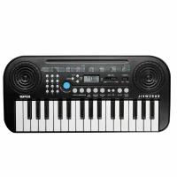 Синтезатор Kurzweil KP10 LB 32 клавиша, полифония 8, цвет чёрный