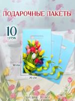 Набор подарочных пакетов с ручками упаковка подарков в школу