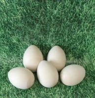 Набор деревянных яиц заготовок 11 см (размер страусиного яйца)