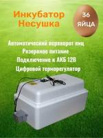 Инкубатор Несушка 36 автоповорот яиц. Цифровой терморегулятор 220/12Вт. арт.45