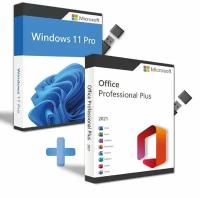 Windows 11Pro установочный USB+Office 2021 Professional Plus