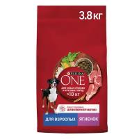 Purina One корм для взрослых собак средних и крупных пород Ягненок и рис, 3,8 кг