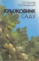 Книга "Крыжовник в саду" З. Зотова, В. Иноземцев Ленинград 1987 Мягкая обл. 141 с. С чёрно-белыми ил