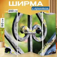 Ширма перегородка с принтом "Садовый забор, кузнечное дело, кованое железо" на холсте - 200x160 см. для зонирования, раскладная