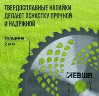 Диск нож для триммера 255*25,4*1,2 мм, 40 зубьев, c твердосплавными напайками левша