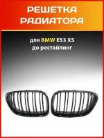 Решетка радиатора (ноздри) БМВ E53 Х5 двойные ребра для BMW E53 X5 m-look до рестайлинг 98-03 гг