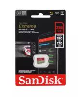 Extreme microSDXC Class 10 UHS Class 3 V30 A2 256GB