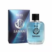 Bi es Sankai for Men туалетная вода 100 мл для мужчин