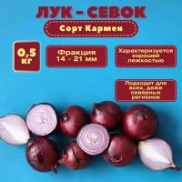 Лук севок фасованный 0,5 кг. Красный салатный сорт, обладает хорошим иммунитетом, устойчив к болезням и вредителям. Репчатый лук Кармен пригоден к выращиванию в любых регионах