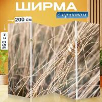 Ширма перегородка с принтом "Свадьба, свадебные кольца, украшения" на холсте - 200x160 см. для зонирования, раскладная