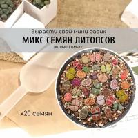 Семена литопса Lithops mix смесь различных видов / Серия живые камни от Бюро семян суккулентов