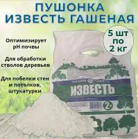 Известь гашеная (Гидроксид кальция, пушонка) 5 упаковок по 2 кг для известкования почвы и повышения ее плодородия