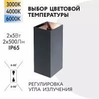 Уличный настенный светильник Foton Lighting 10Вт 2x5W 230В Сменная температура свечения 3000К/4000К/6000К Угол 90° IP65 Черный металл. Экопак. Архитектурный, садово-парковый светильник