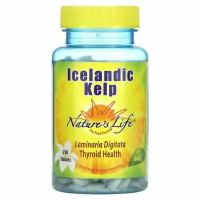 Nature's Life, Icelandic Kelp, Исландская бурая водоросль, 250 таблеток