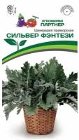 Семена Цинерарии приморской "Сильвер Фэнтези" (15 семян в ампуле)