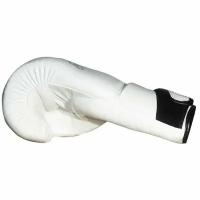 Боксерские перчатки FAIRTEX BGV6 Кожа