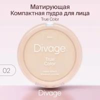 Пудра компактная Divage True Color т.02 Ivory 8 г