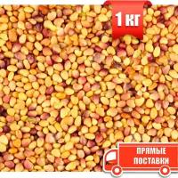 Семена Клевер красный сидерат чистота 98%, био-удобрение, 1 кг