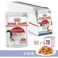 Корм для взрослых кошек Royal Canin Instinctive (Инстинктив) Корм консервированный, желе, 24x85г