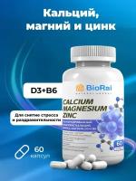 Кальций Цинк Магний Д3 B6, Calcium Zinc Magnesium D3 B6, 60 капсул