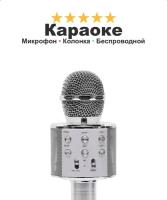 Беспроводной микрофон караоке с селфи-модом FUNNY TIME, с корректором голоса и поддержкой микро-карт, серый